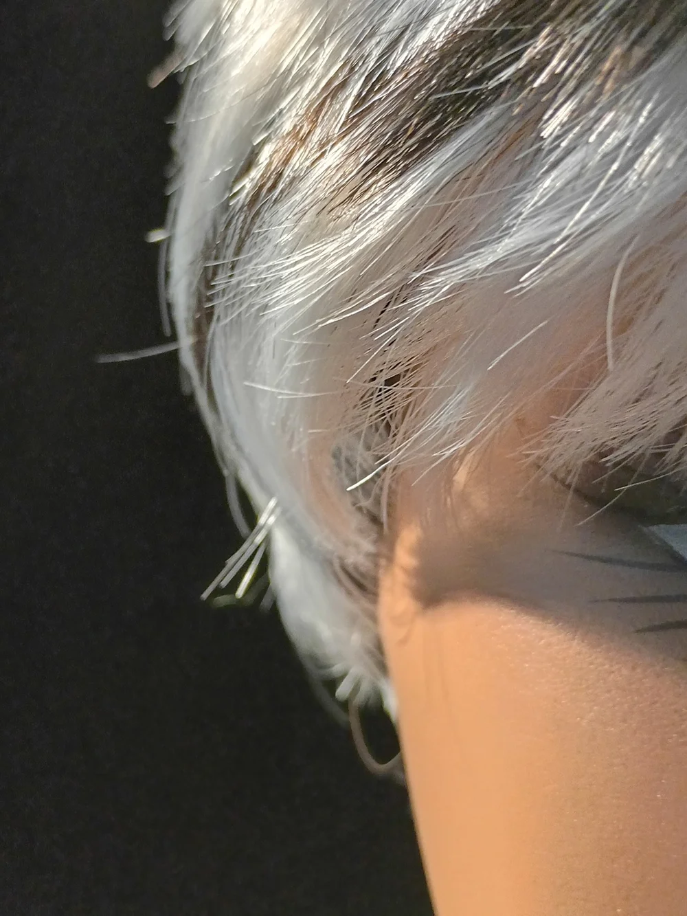 Short Layered Women's Wig in White with Black Stripes